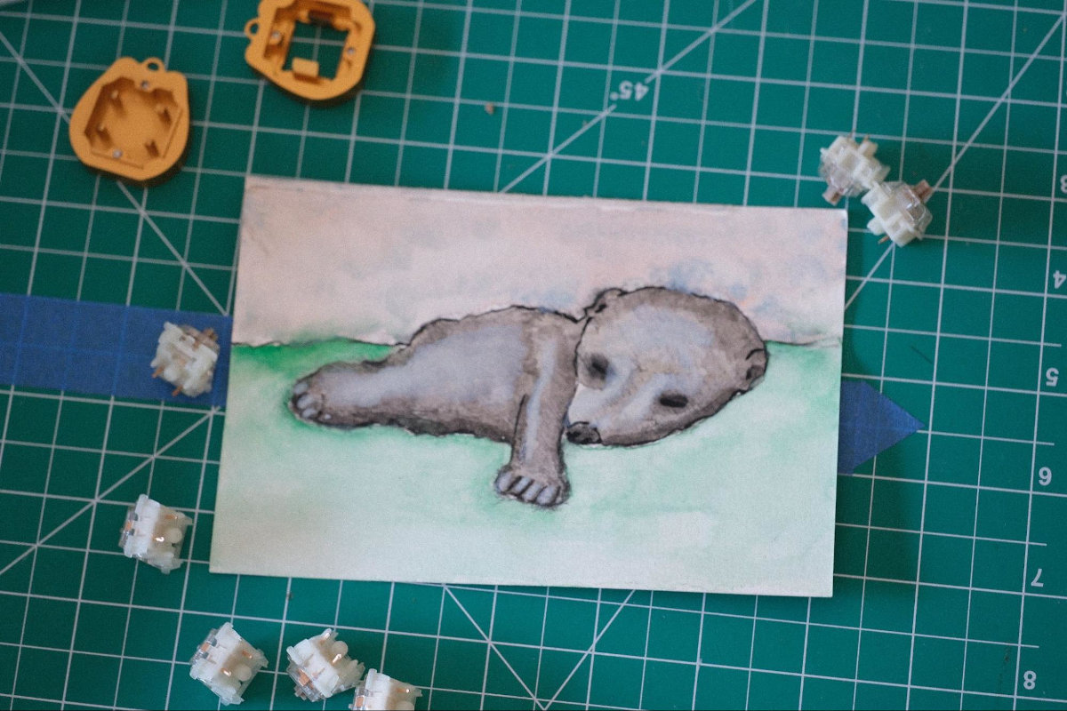 Pic: Customer art: baby raccoon watercolor next to Baby Raccoon switches