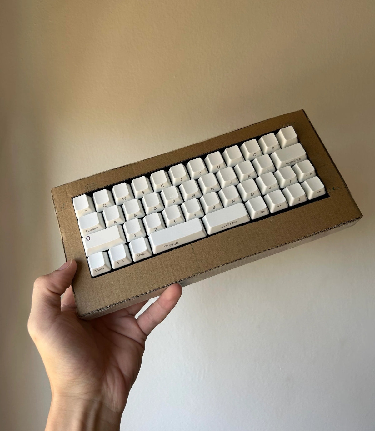 Pic: Cardboard keyboard case