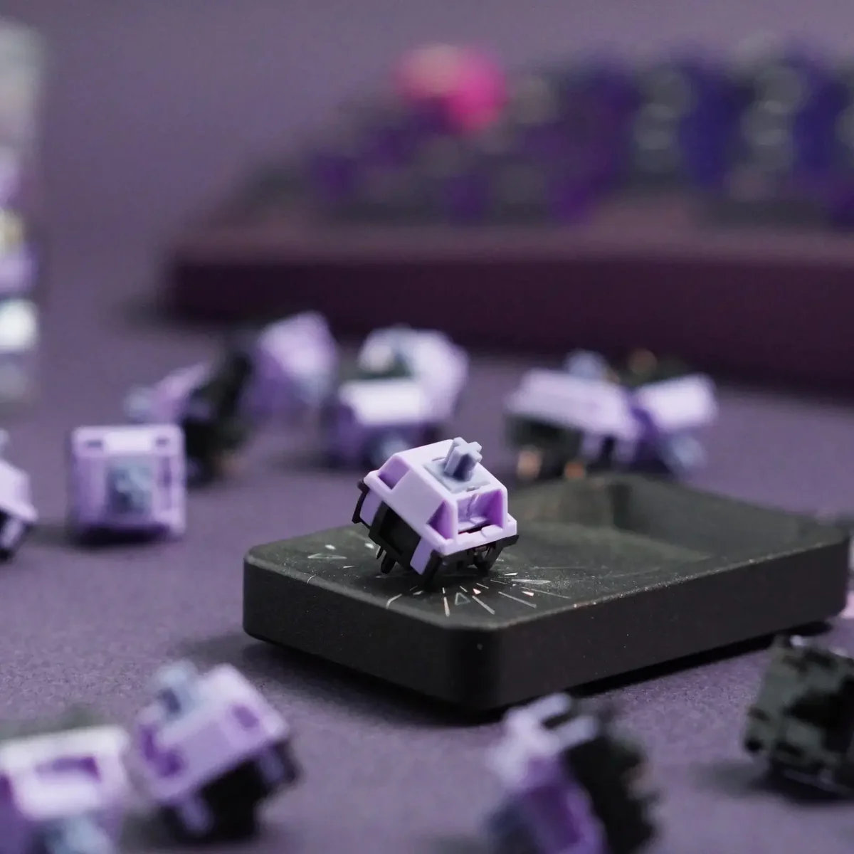 HMX Blackberry at SerpentKeys. Pic: HMX Blackberry at SerpentKeys.