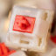 Gateron Cream Soda Gateron Cream Soda